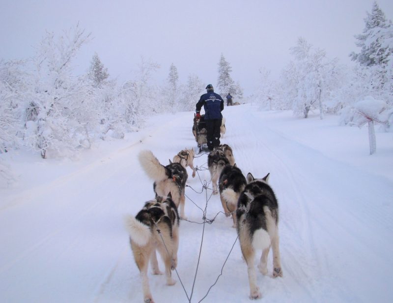 Un viaje de incentivo a Laponia para el recuerdo